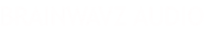 Brainwavz India